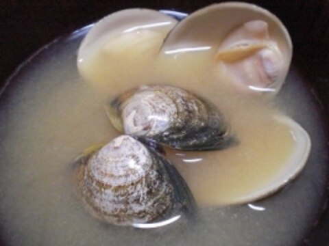 良いお出汁が！　　「ハマグリの味噌汁」　　♪♪